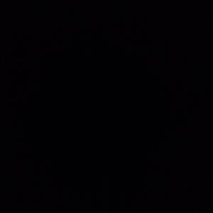 Meet your Posher, Dakota